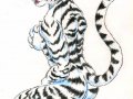 whitetigress.jpg